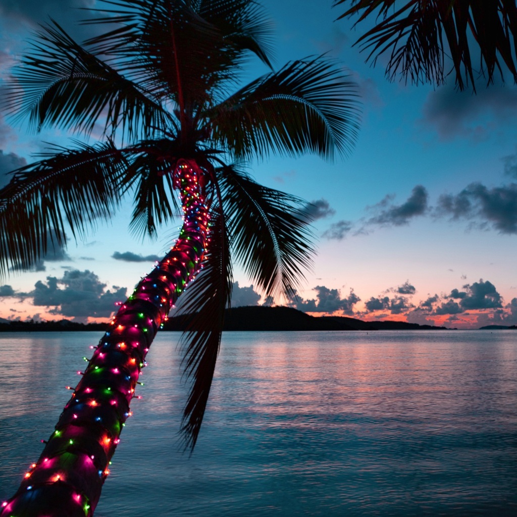 Необычные идеи для встречи Нового года