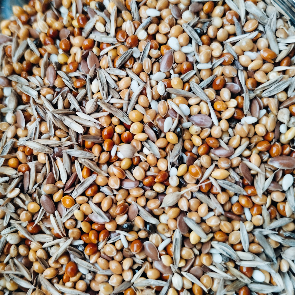 чим годувати птахів