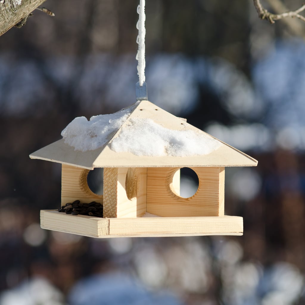 годівничка для птахів