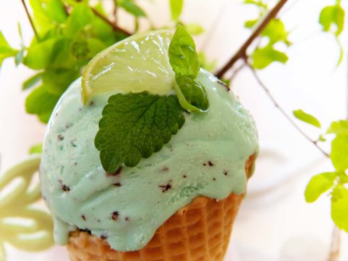 [:uk]avocado ice cream[:]