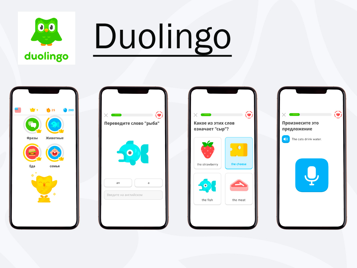Приложение Duolingo