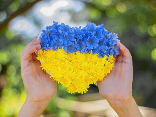 День Соборності України: факти, листівки та поробки з дітьми