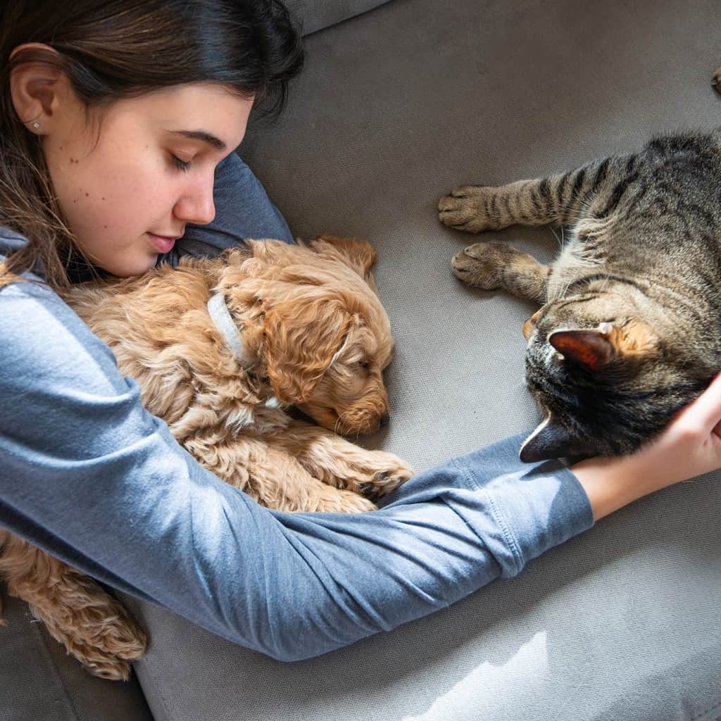 Девушка котом и собакой на диване