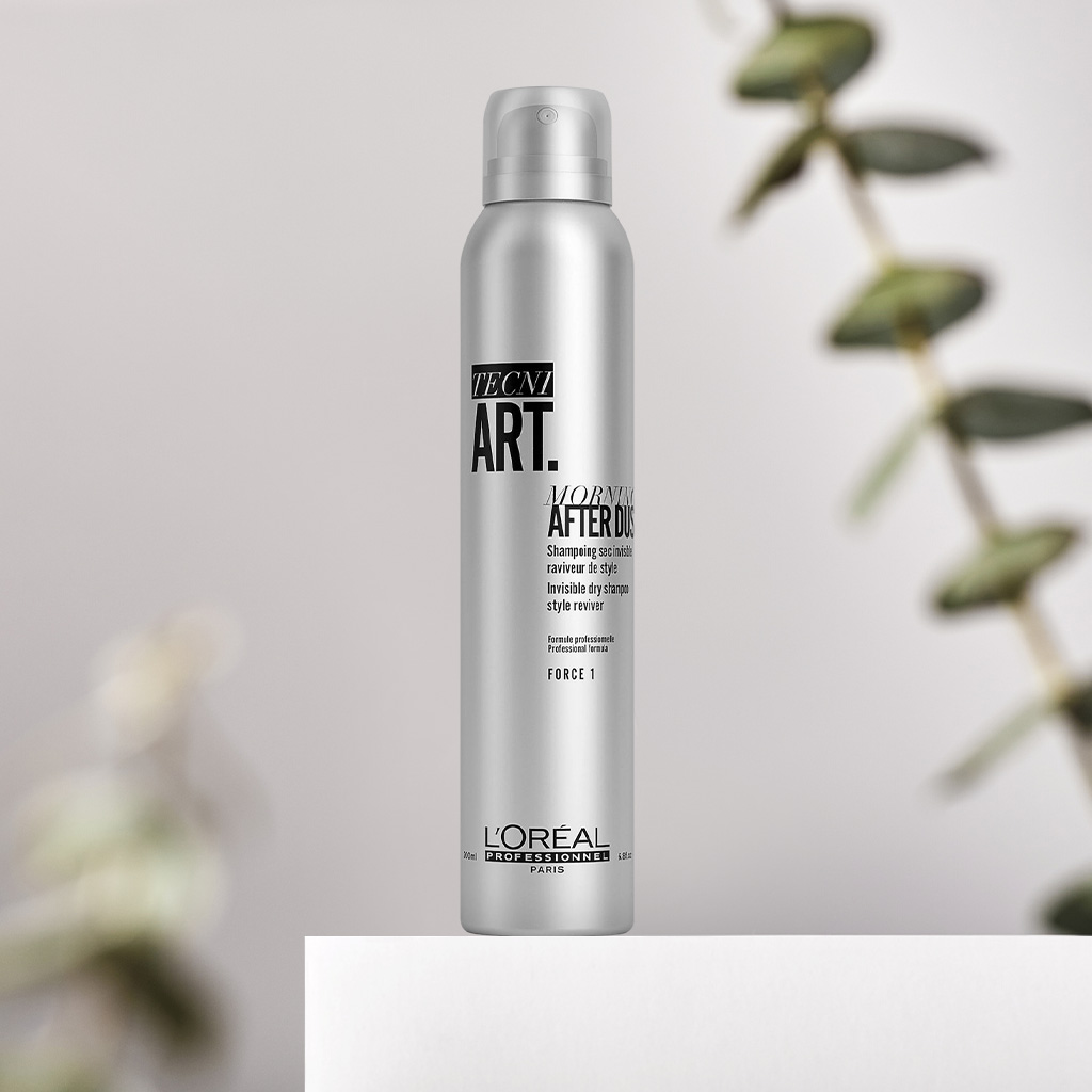 04 L'Oreal Professionnel Tecni. ART Morning After Dust (713)