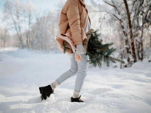 0-Гороскоп-на-грудень-2024-для-всіх-знаків-зодіаку