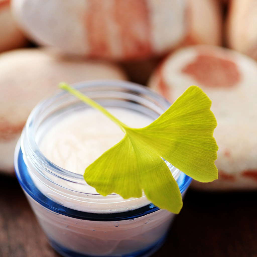 11-Гінко-білоба