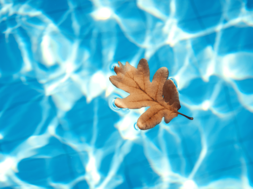 Як підготувати басейн до зими