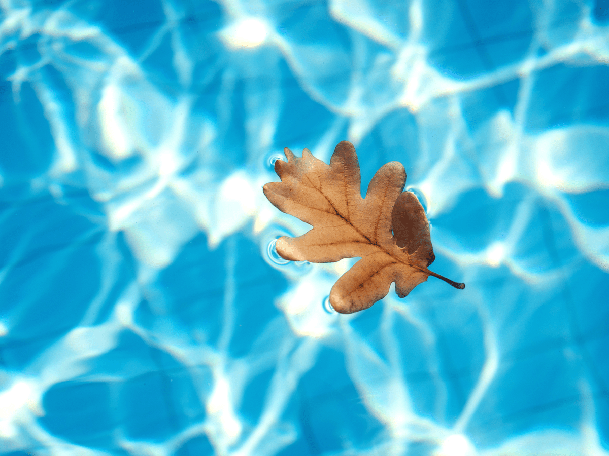 Як підготувати басейн до зими