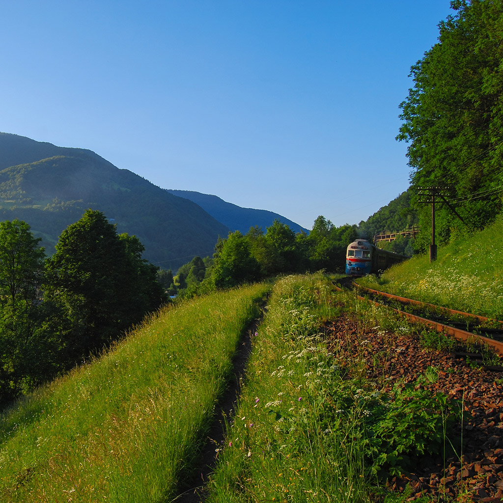 03-Неочікуване-літо-в-Карпатах
