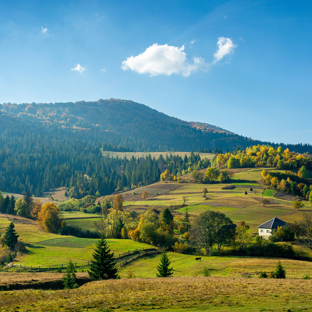 04-Неочікуване-літо-в-Карпатах