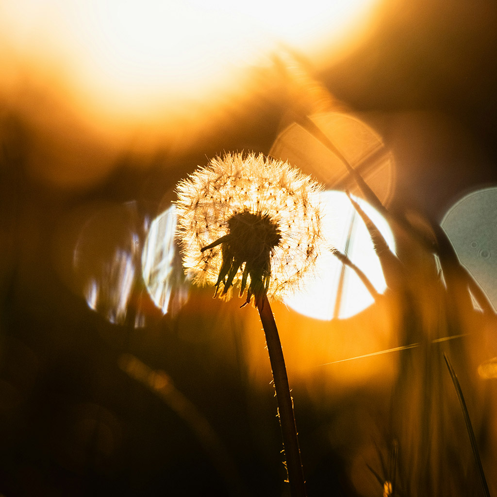 4-Чому-ти-постійно-скаржишся