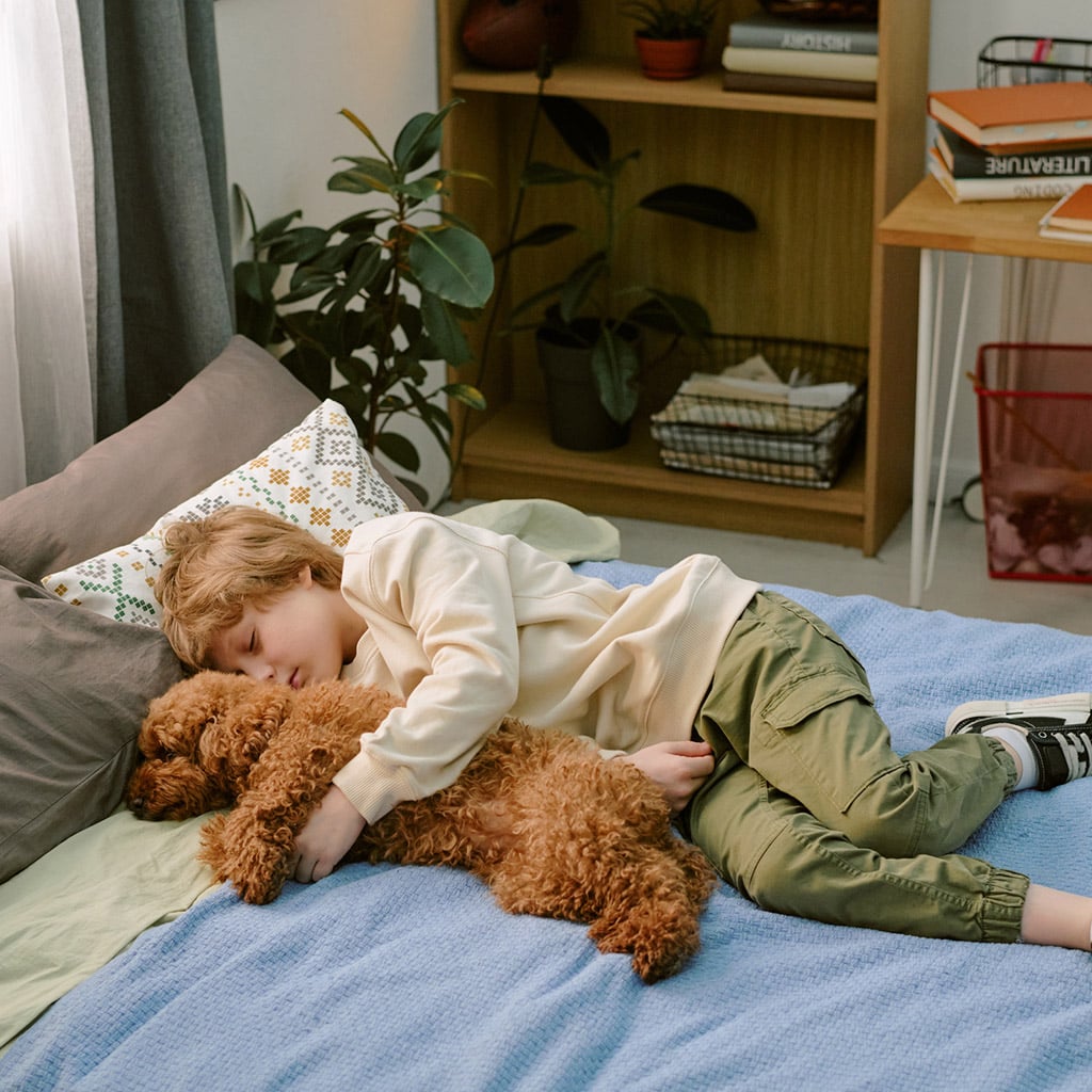 6-Як-допомогти-дітям-ужитися-в-одній-кімнаті