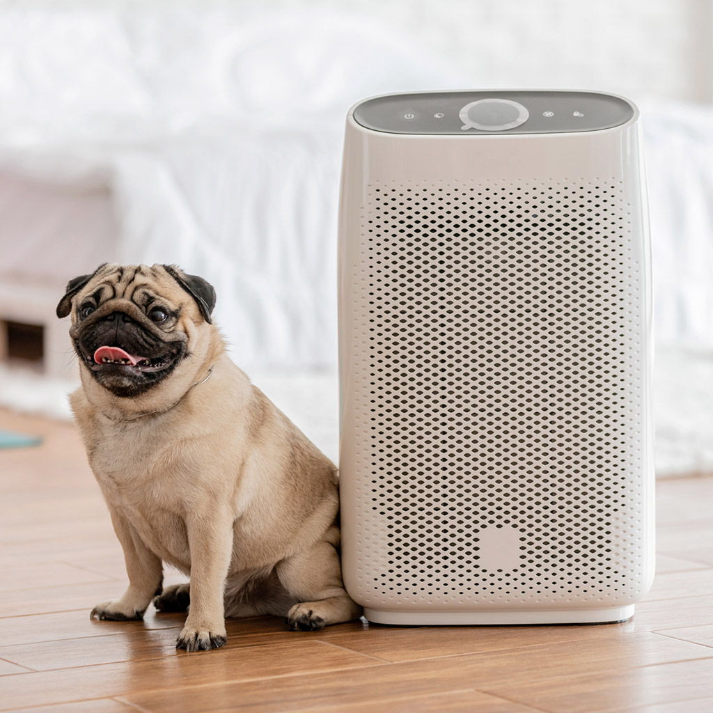 6-Як-очищувачі-та-зволожувачі-повітря-рятують-шкіру-взимку