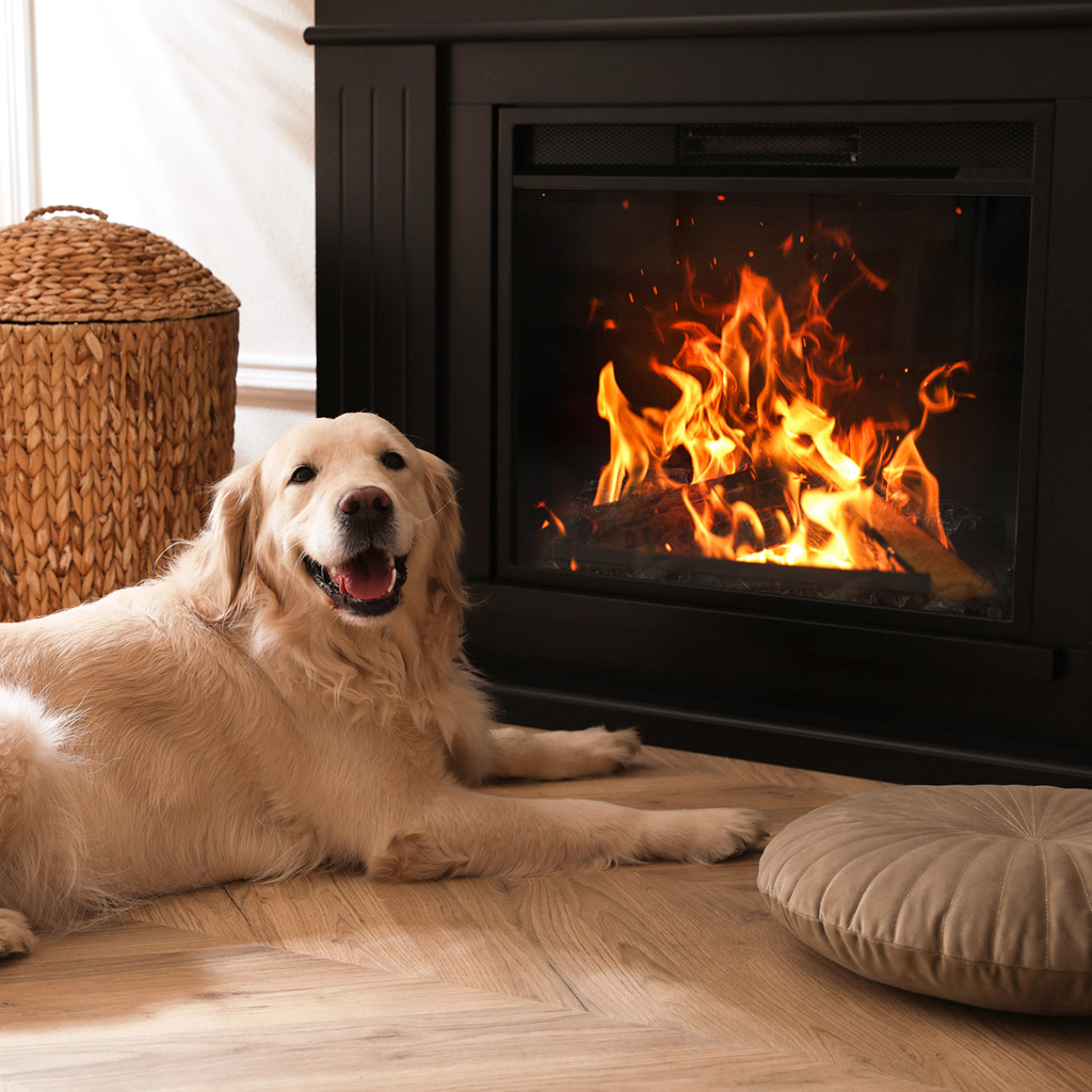 9-Електрокамін