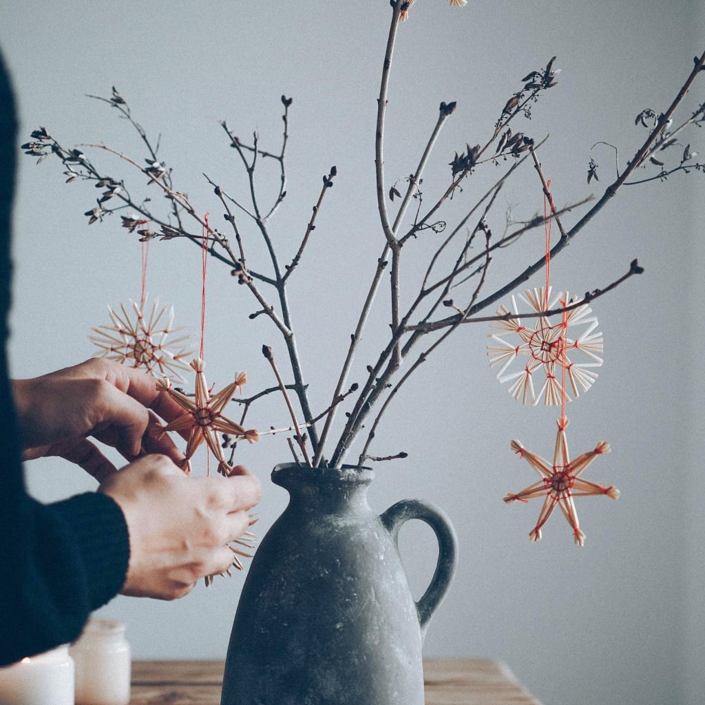 @veggieboogie @veggieboogie