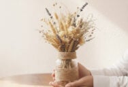 0-8-екологічних-способів-повторного-використання-баночок-і-коробок