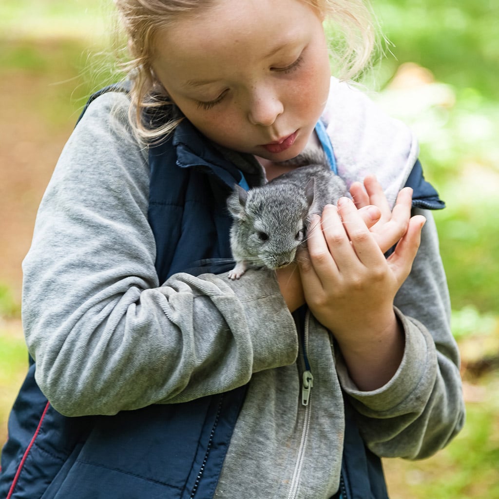 11-Діти-й-тварини