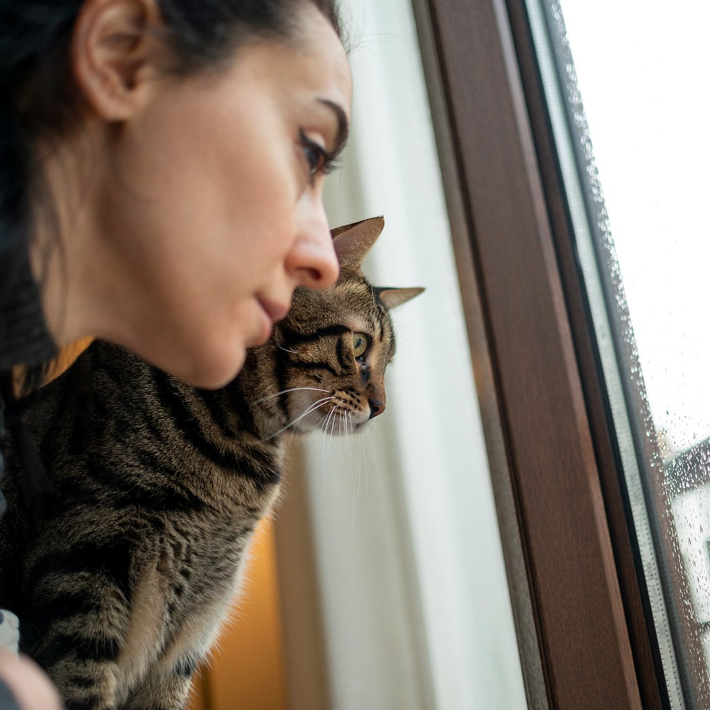 3-Метеозалежність