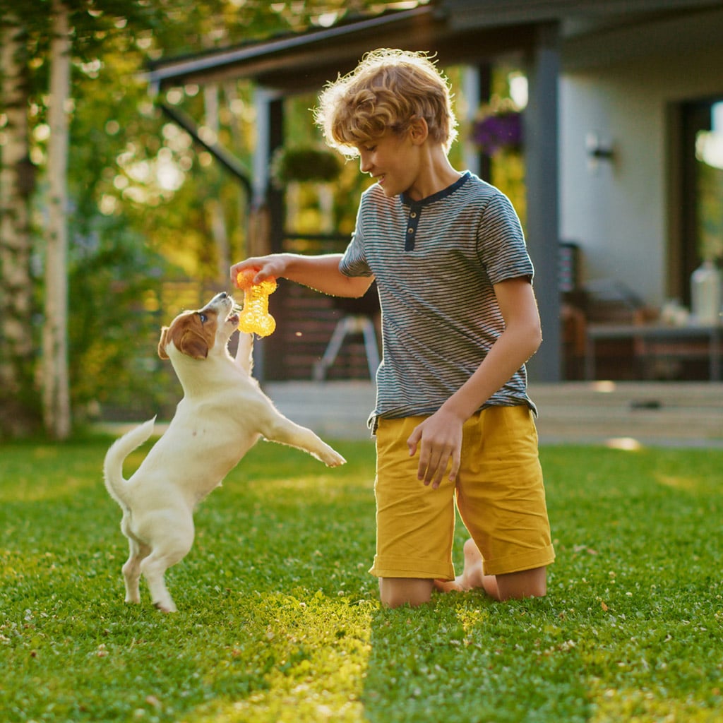 7-Діти-й-тварини