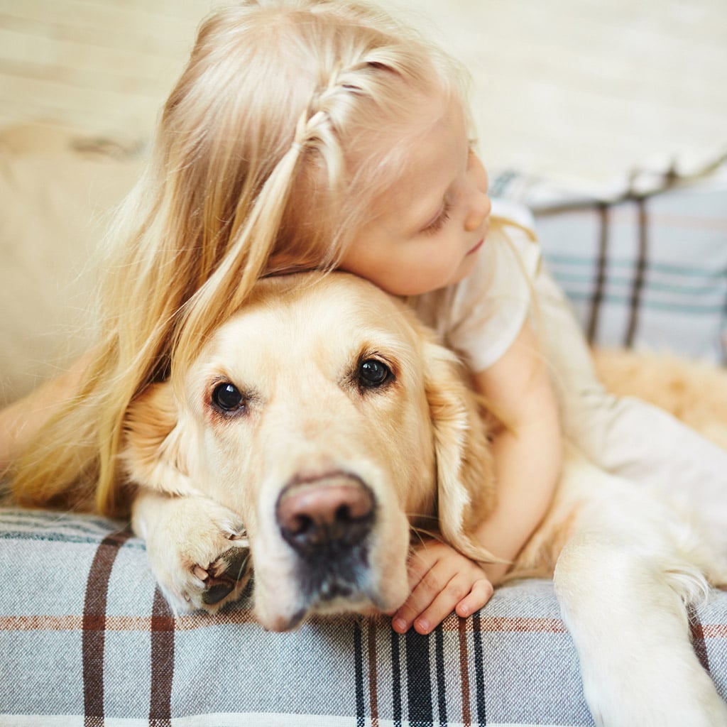 8-Діти-й-тварини