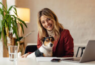 0-Pet-friendly-компанії