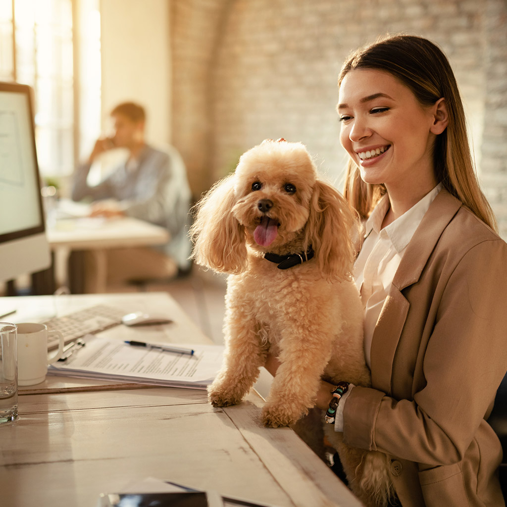 1-Pet-friendly-компанії