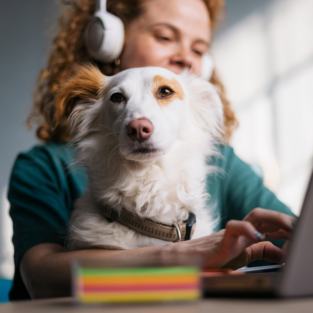 10-Pet-friendly-компанії
