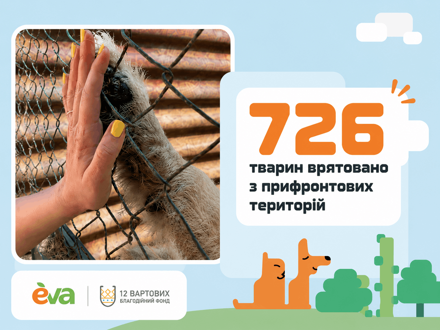 Ціна порятунку під обстрілами: як ініціатива «Купуй – рятуй» подарувала нове життя 726 тваринам із прифронтової зони