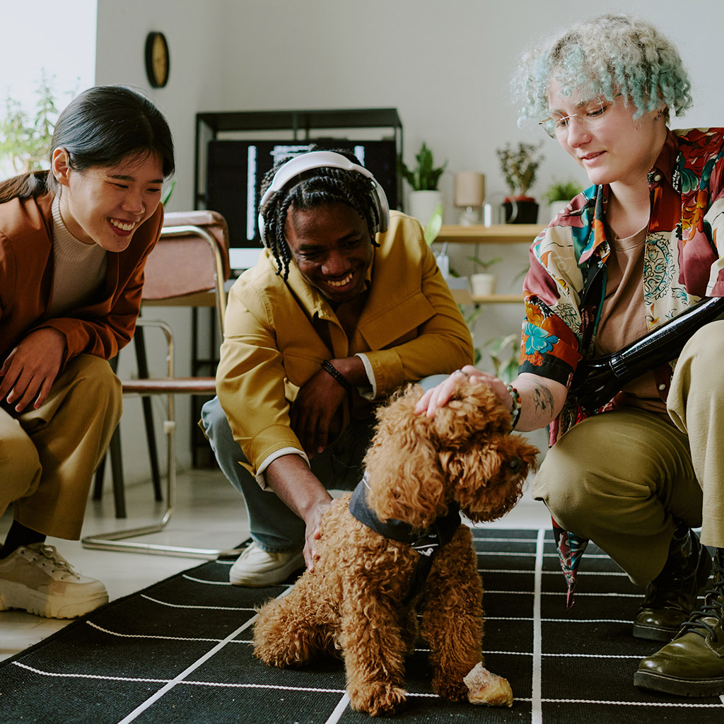 3-Pet-friendly-компанії