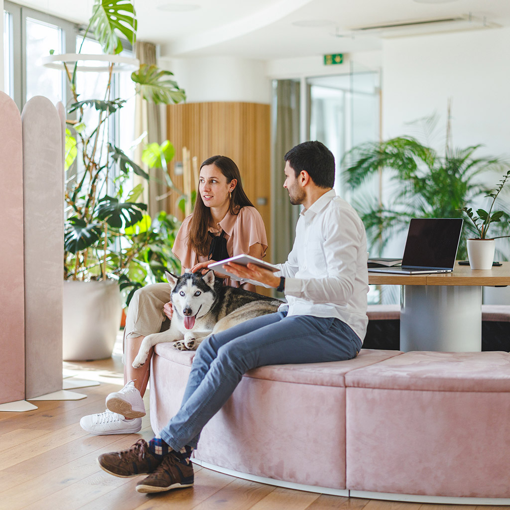 4-Pet-friendly-компанії