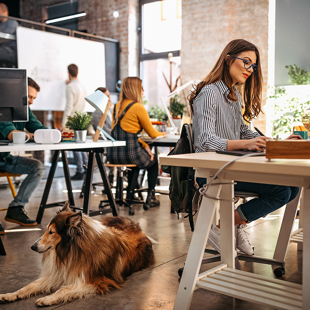 5-Pet-friendly-компанії