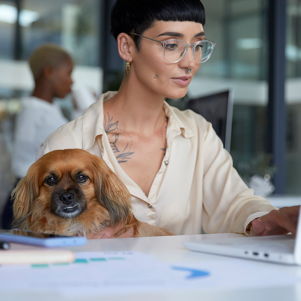 7-Pet-friendly-компанії